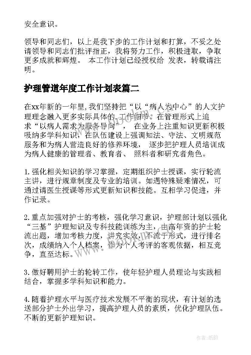 2023年护理管道年度工作计划表(精选8篇)