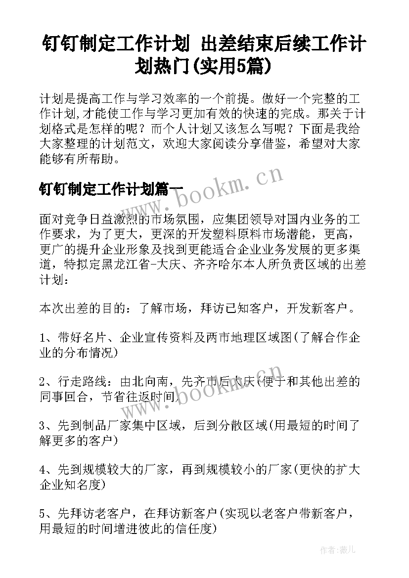 钉钉制定工作计划 出差结束后续工作计划热门(实用5篇)