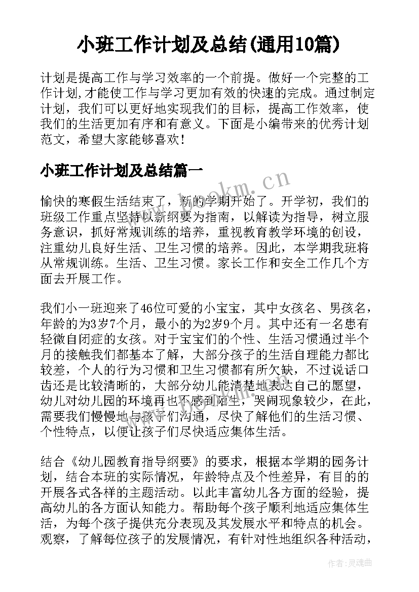 小班工作计划及总结(通用10篇)