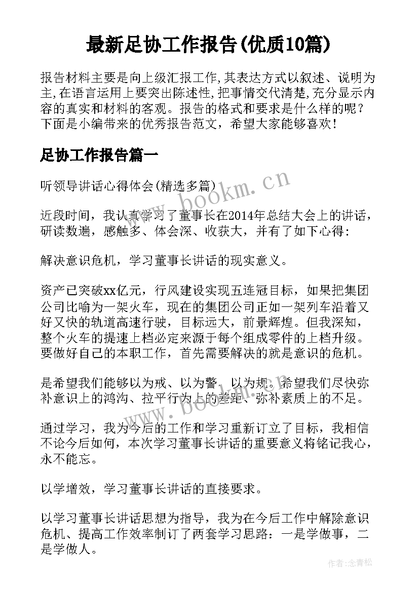 最新足协工作报告(优质10篇)