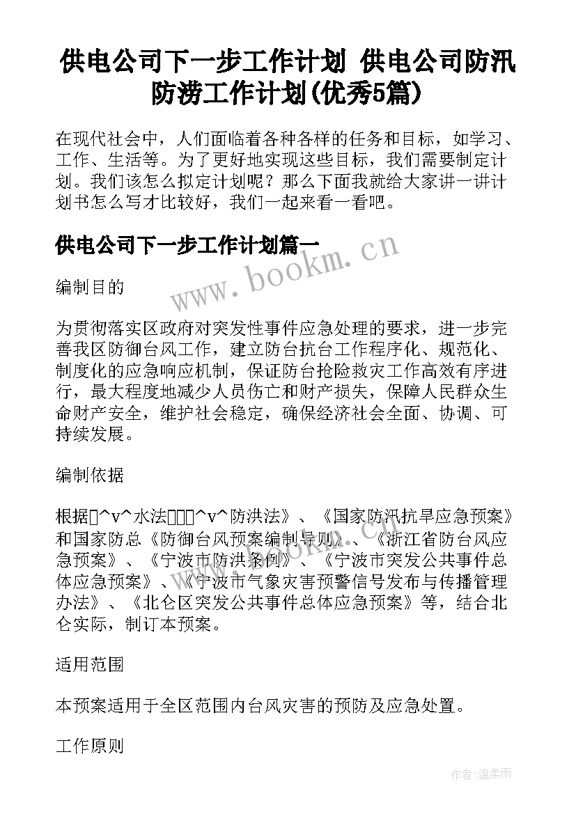 供电公司下一步工作计划 供电公司防汛防涝工作计划(优秀5篇)