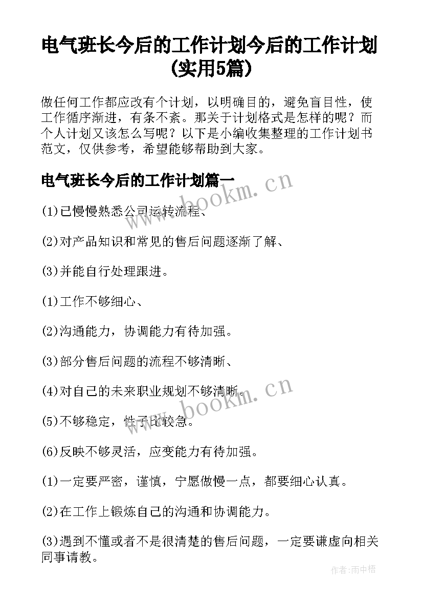 电气班长今后的工作计划 今后的工作计划(实用5篇)