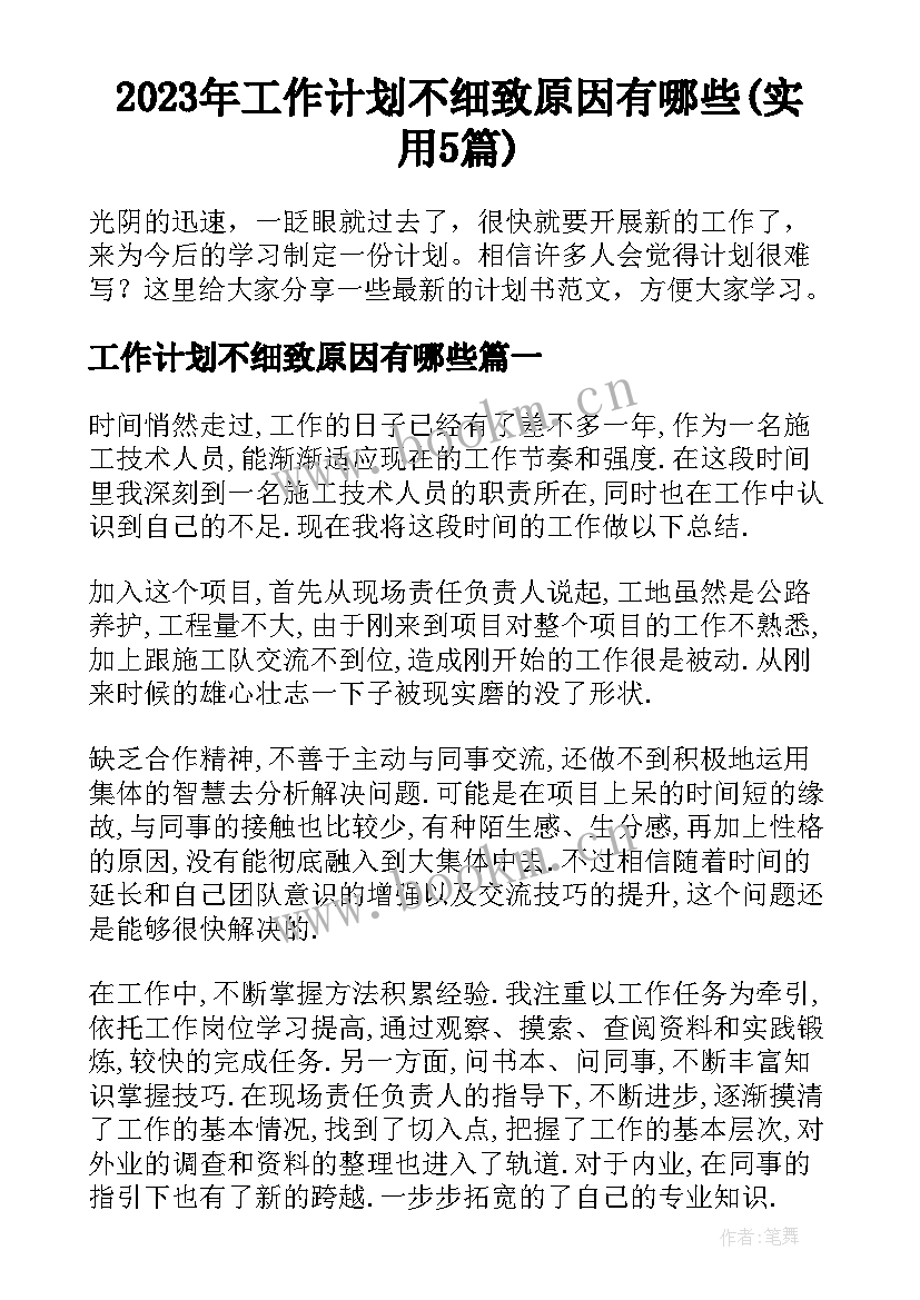 2023年工作计划不细致原因有哪些(实用5篇)