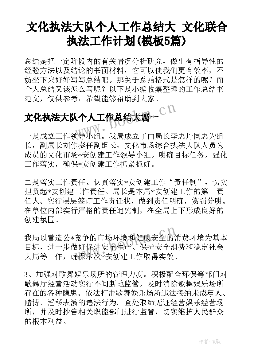 文化执法大队个人工作总结大 文化联合执法工作计划(模板5篇)