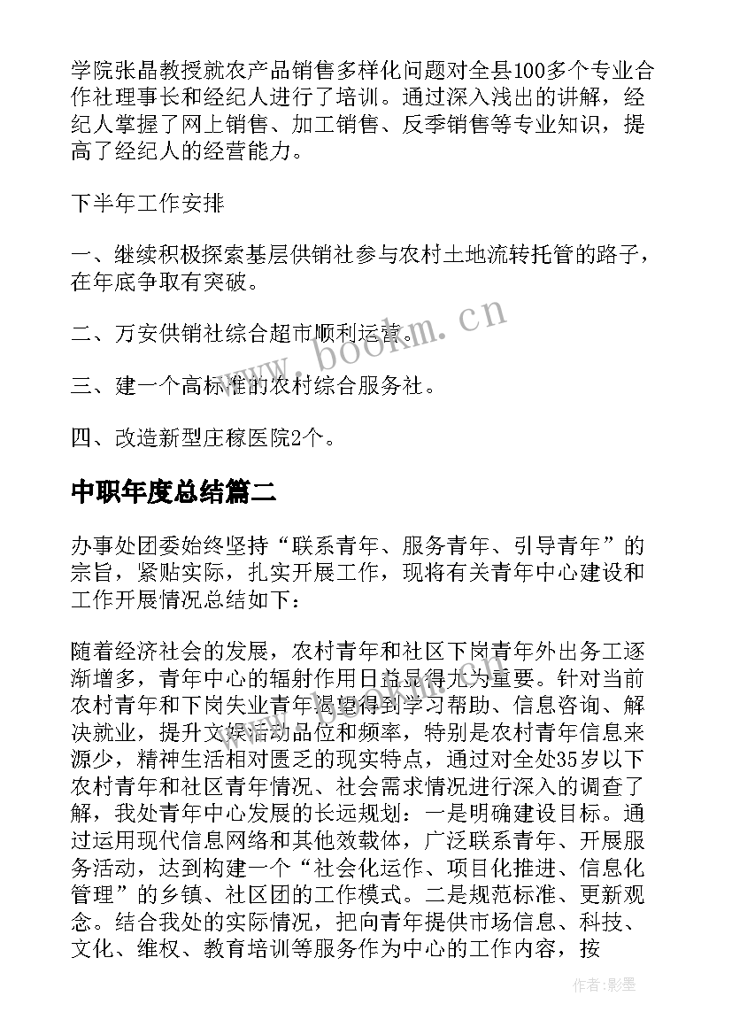 2023年中职年度总结 年中工作总结(通用6篇)