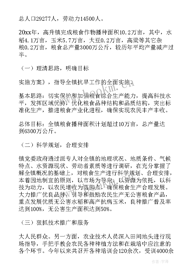 2023年粮食调控工作总结(模板7篇)