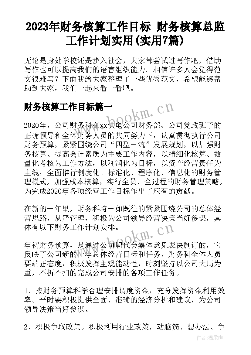 2023年财务核算工作目标 财务核算总监工作计划实用(实用7篇)