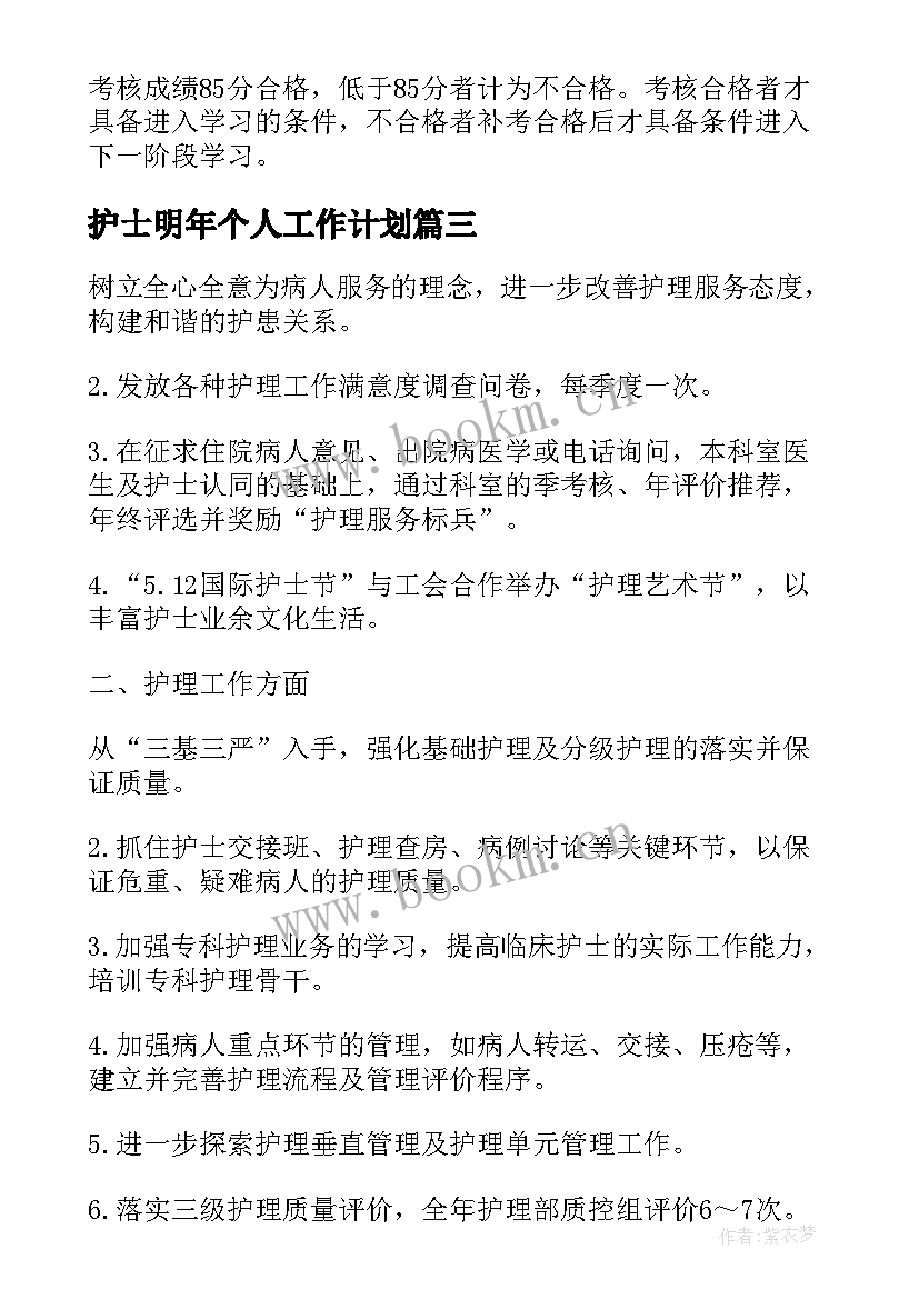 护士明年个人工作计划 护士工作计划(模板10篇)