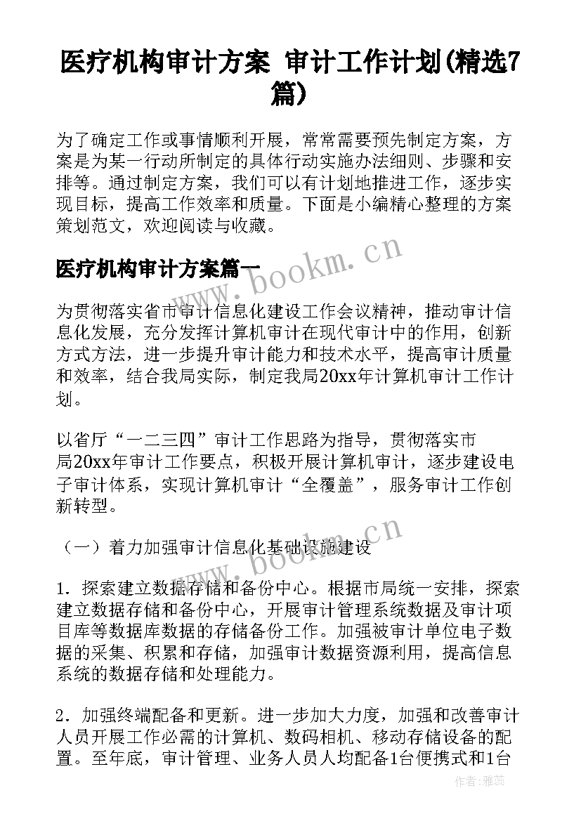 医疗机构审计方案 审计工作计划(精选7篇)