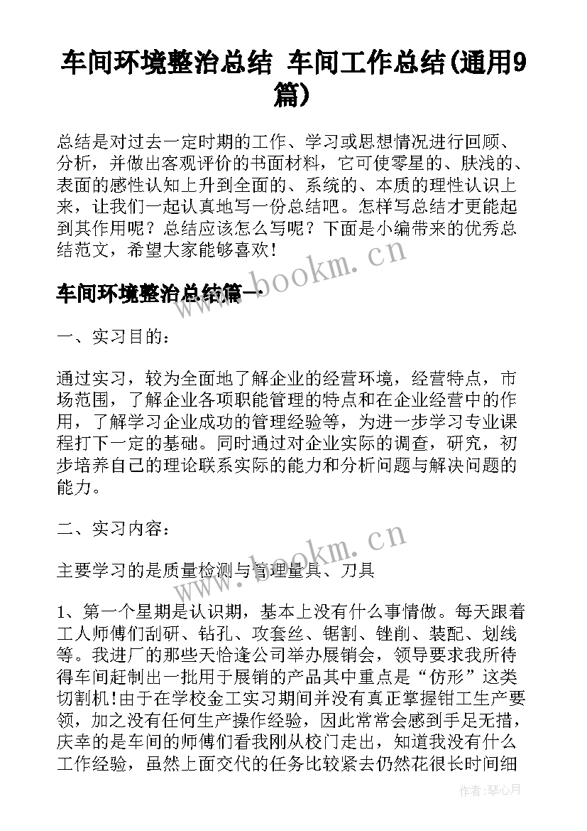 车间环境整治总结 车间工作总结(通用9篇)