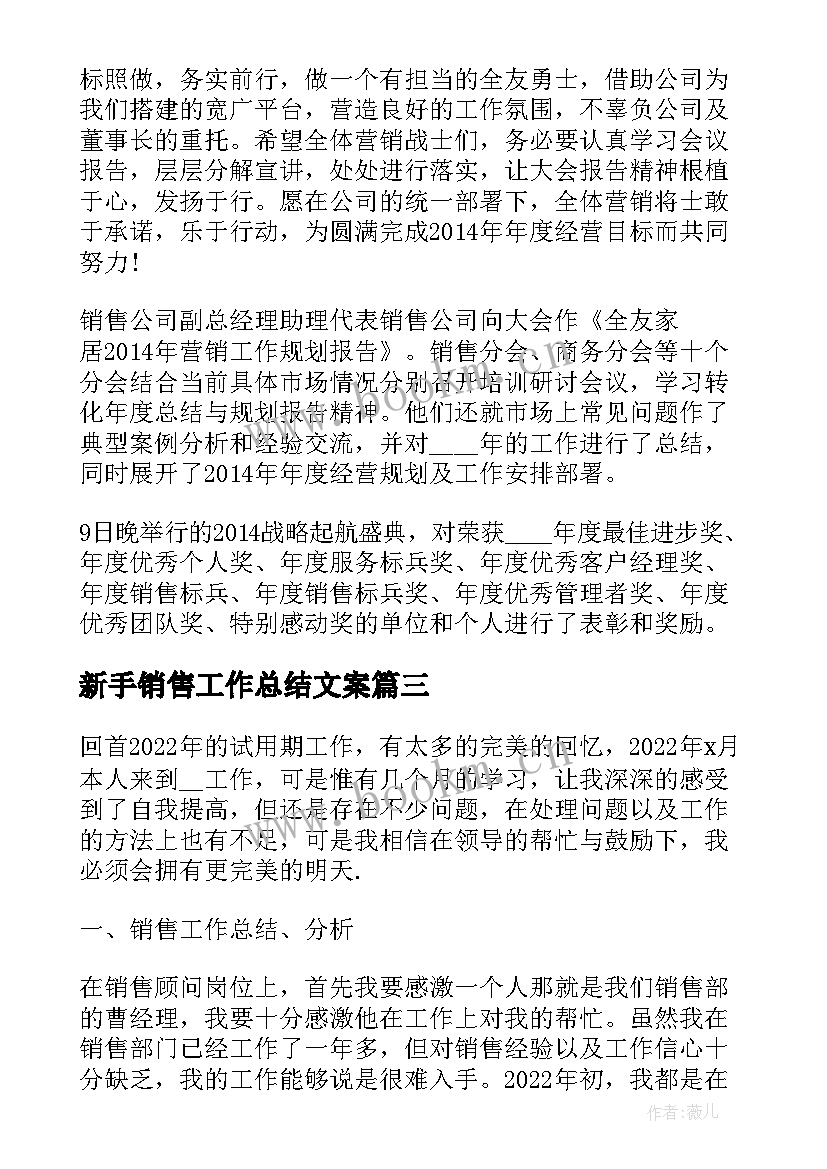 最新新手销售工作总结文案 销售新手工作总结必备(精选5篇)