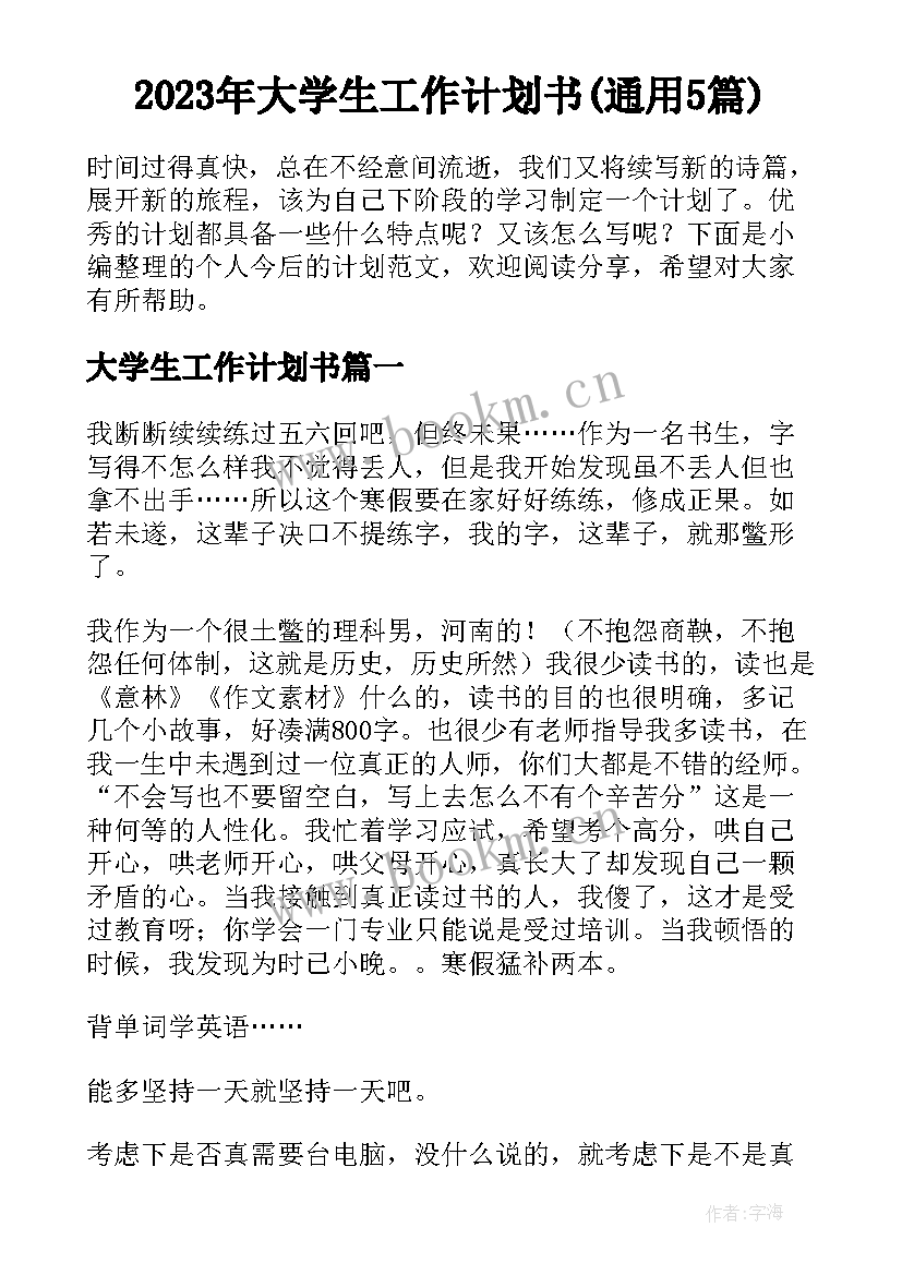 2023年大学生工作计划书(通用5篇)