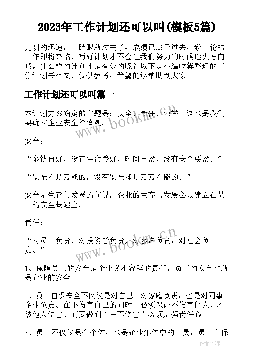 2023年工作计划还可以叫(模板5篇)