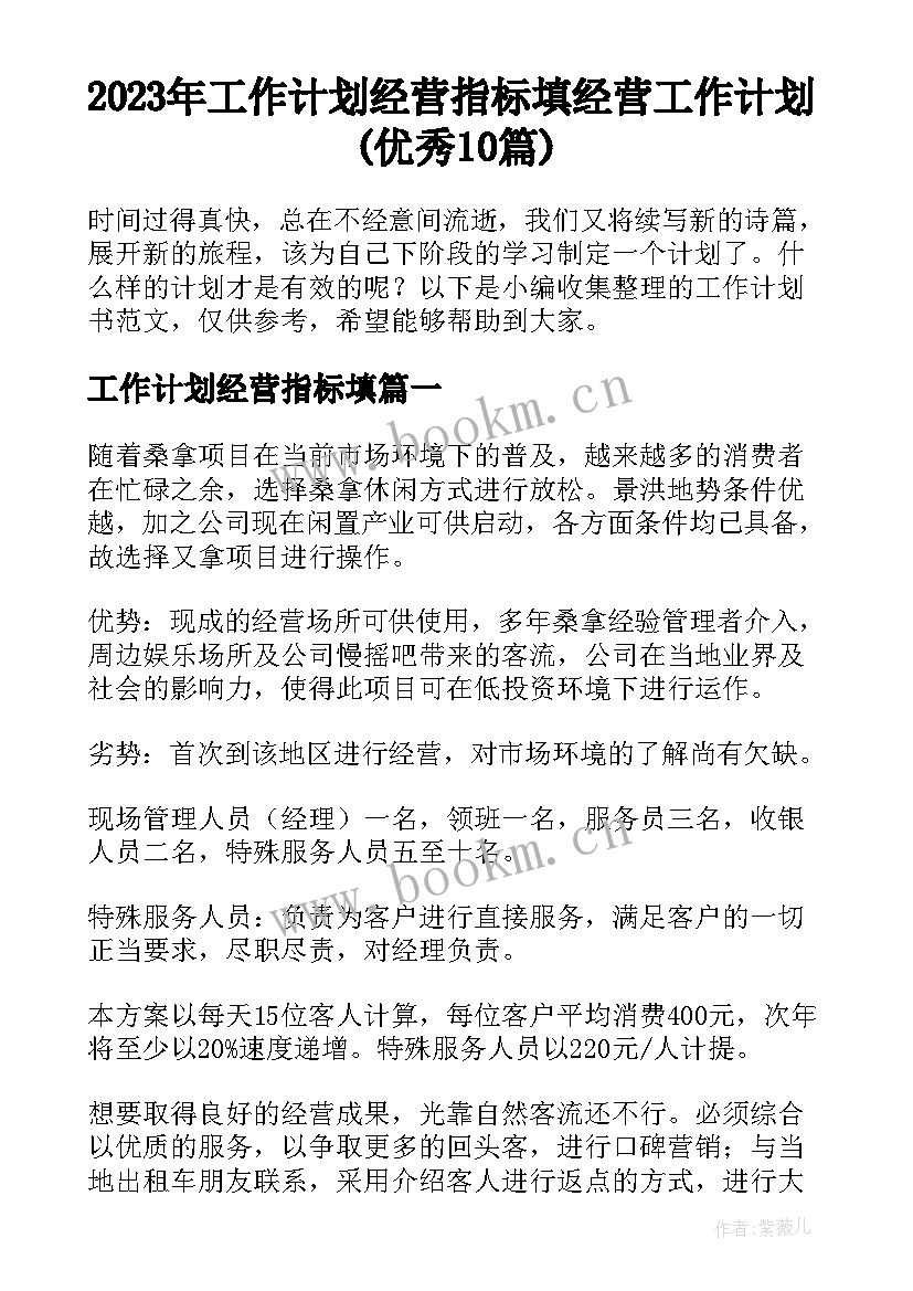 2023年工作计划经营指标填 经营工作计划(优秀10篇)