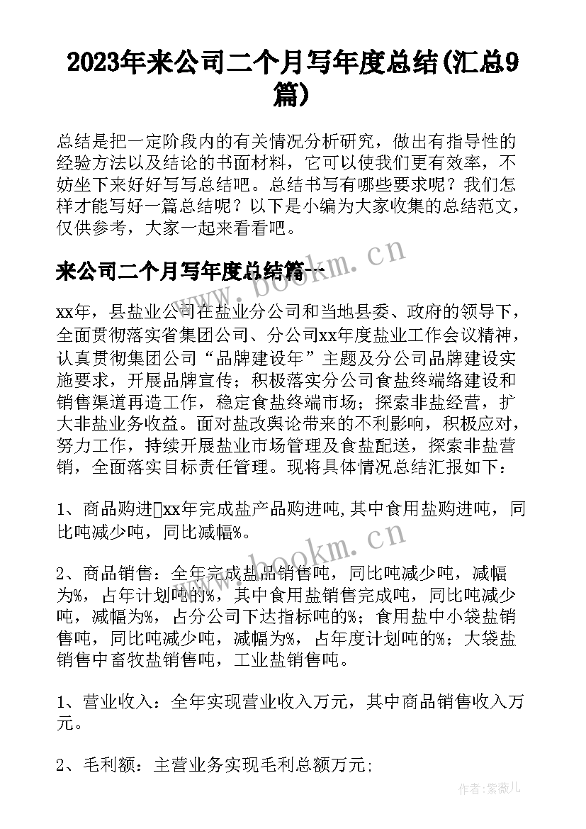 2023年来公司二个月写年度总结(汇总9篇)