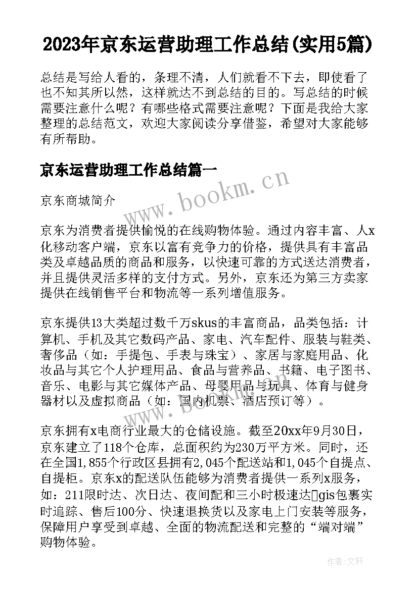 2023年京东运营助理工作总结(实用5篇)