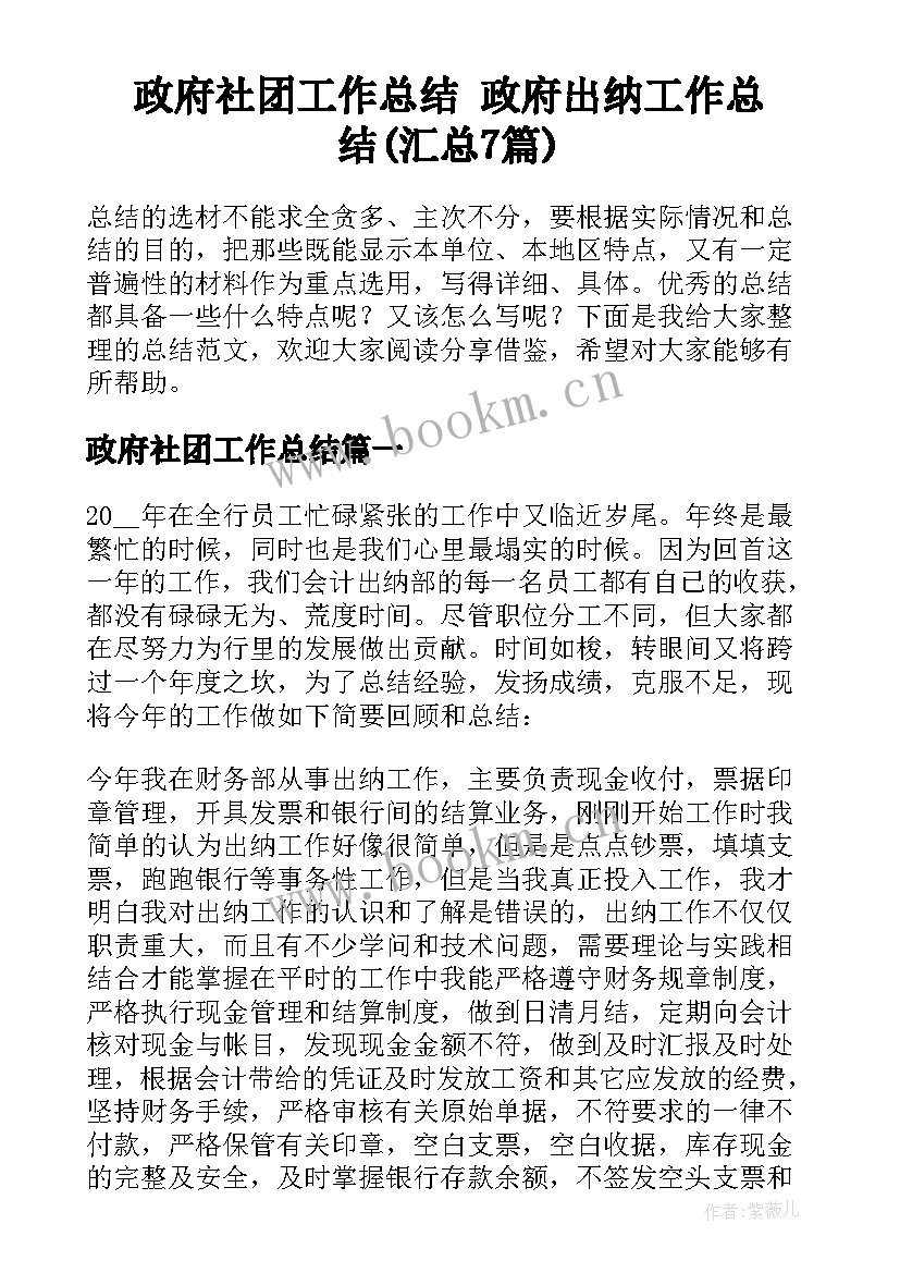 政府社团工作总结 政府出纳工作总结(汇总7篇)