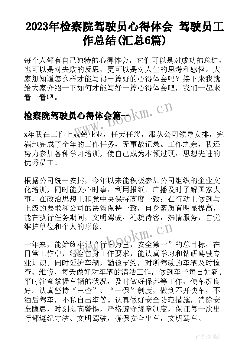 2023年检察院驾驶员心得体会 驾驶员工作总结(汇总6篇)