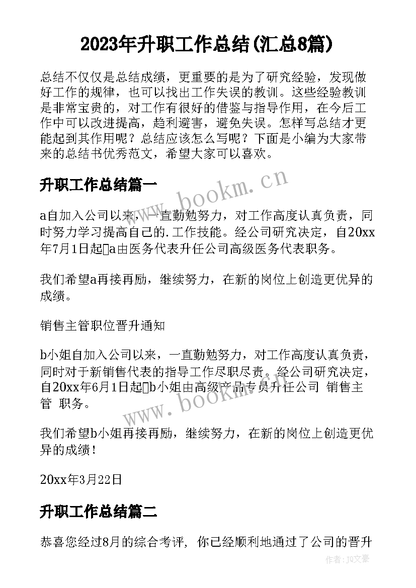 2023年升职工作总结(汇总8篇)