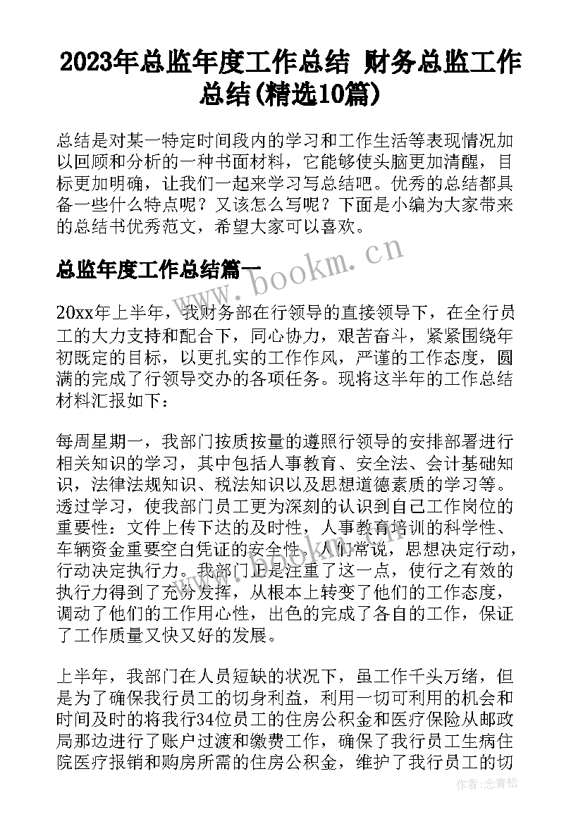 2023年总监年度工作总结 财务总监工作总结(精选10篇)