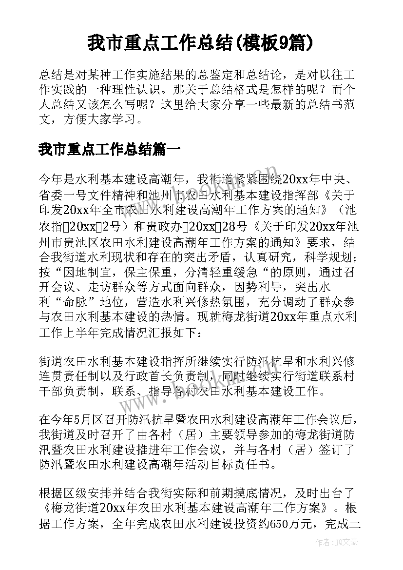 我市重点工作总结(模板9篇)