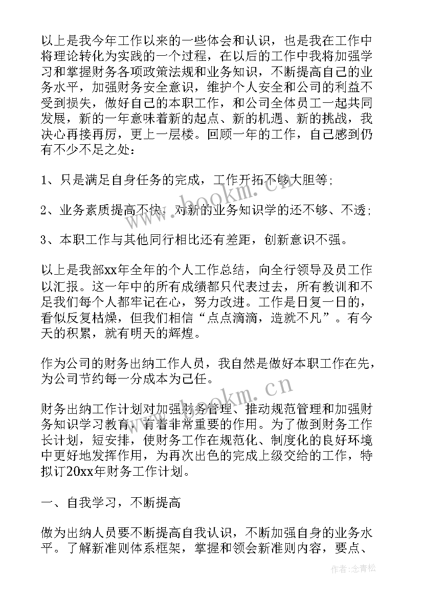 2023年出纳的工作总结(优秀9篇)