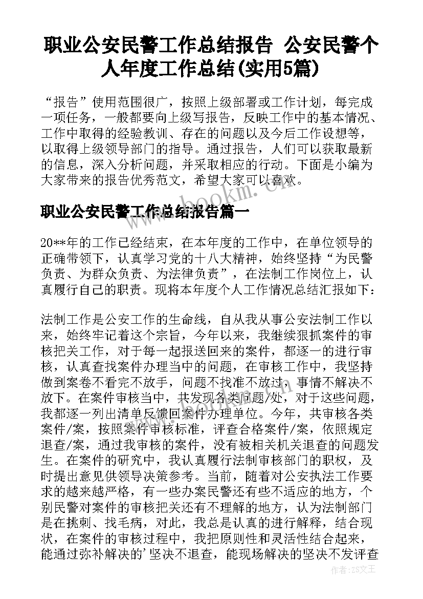 职业公安民警工作总结报告 公安民警个人年度工作总结(实用5篇)