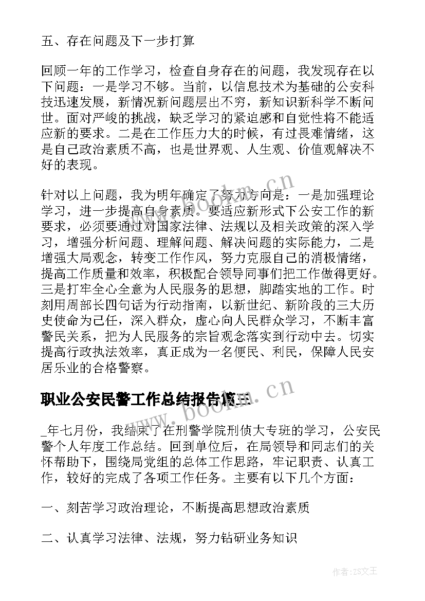 职业公安民警工作总结报告 公安民警个人年度工作总结(实用5篇)