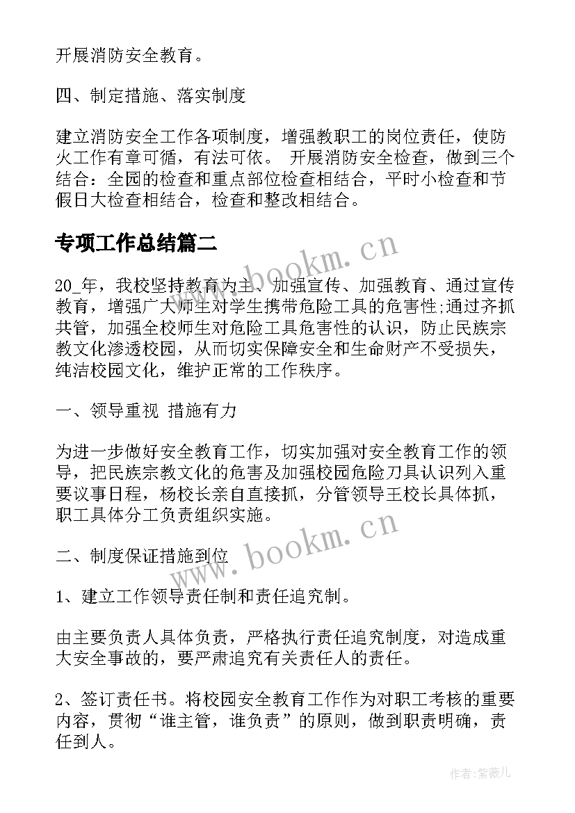 2023年专项工作总结 专项整治工作总结(实用7篇)