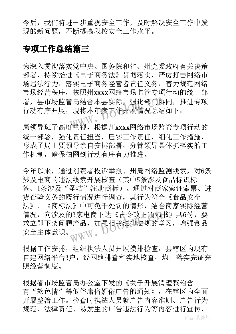 2023年专项工作总结 专项整治工作总结(实用7篇)