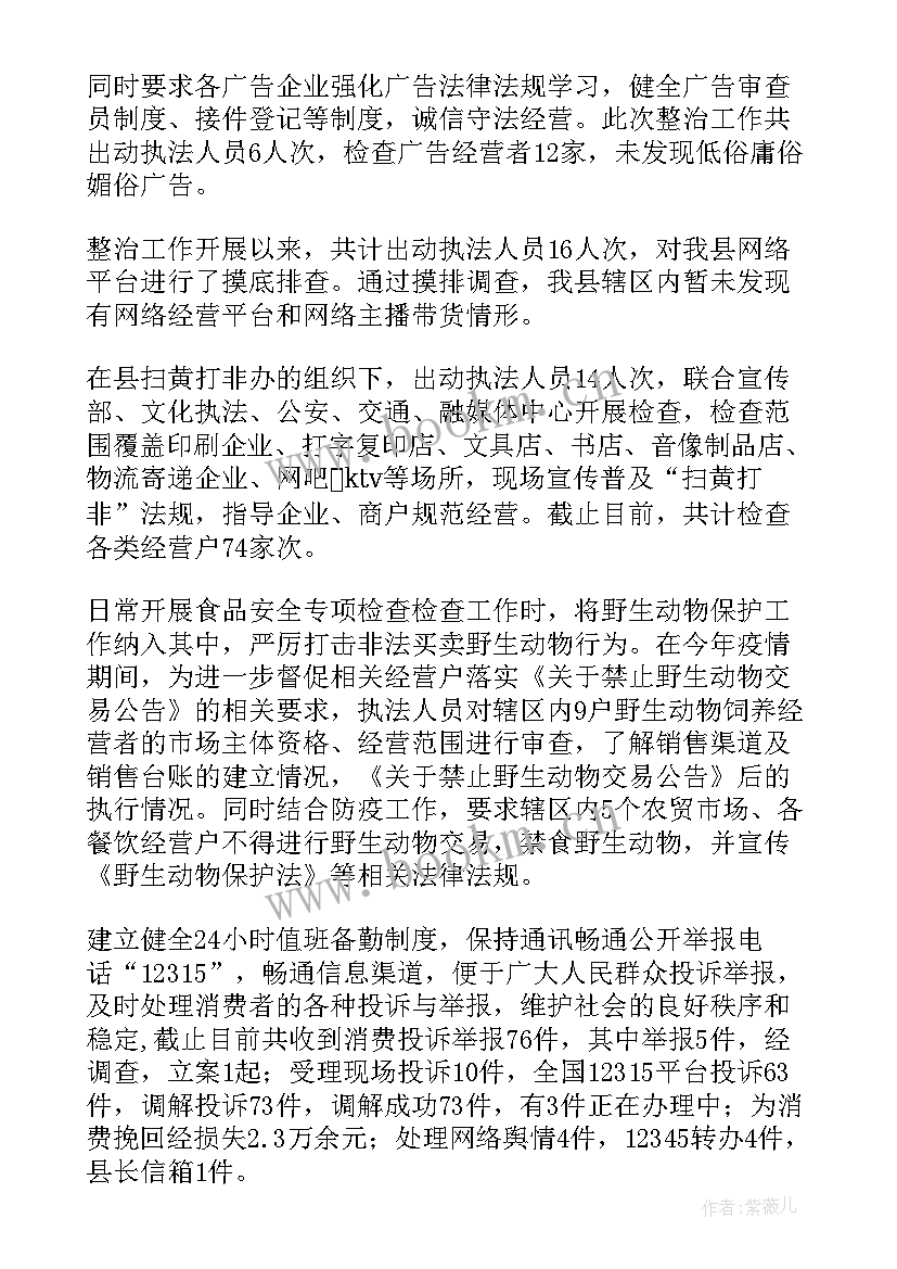 2023年专项工作总结 专项整治工作总结(实用7篇)