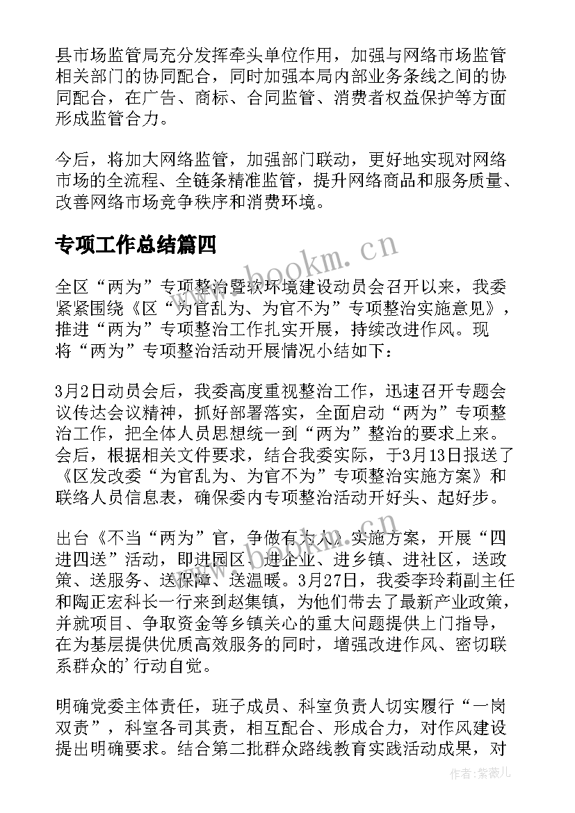 2023年专项工作总结 专项整治工作总结(实用7篇)