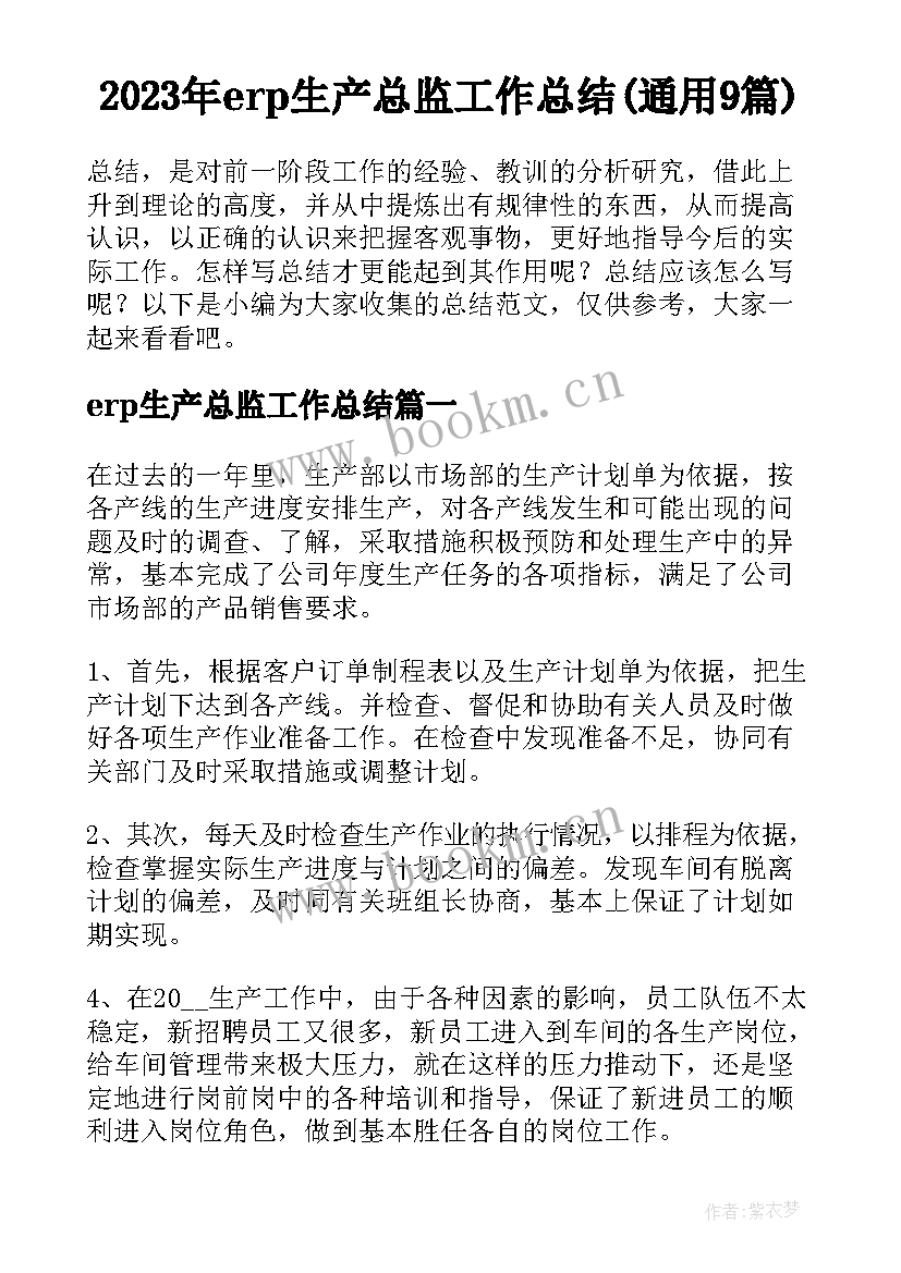 2023年erp生产总监工作总结(通用9篇)