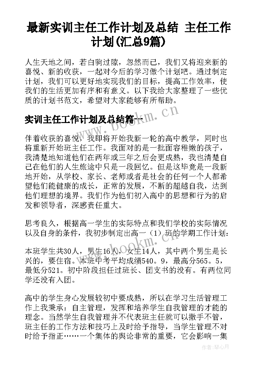 最新实训主任工作计划及总结 主任工作计划(汇总9篇)