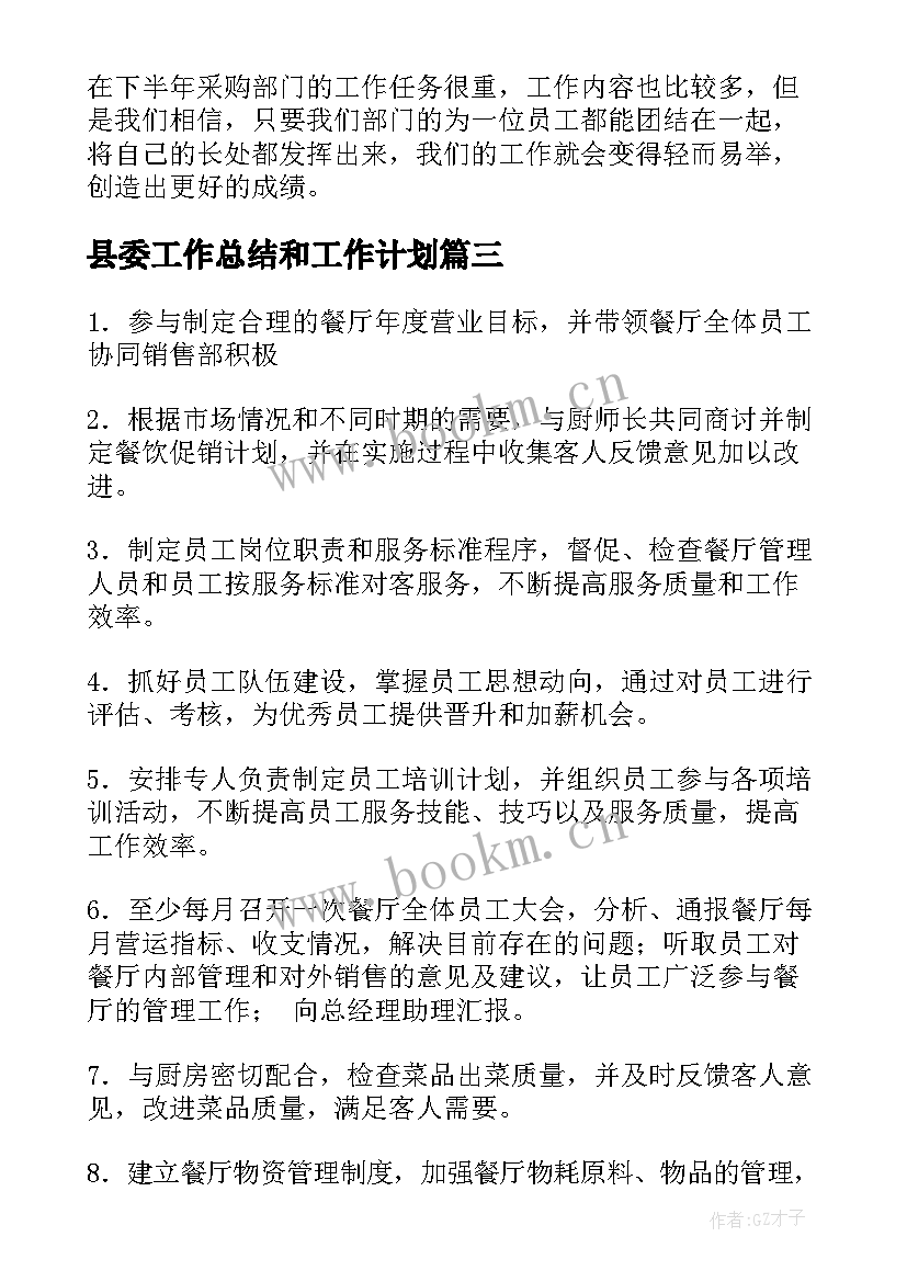 2023年县委工作总结和工作计划(大全5篇)