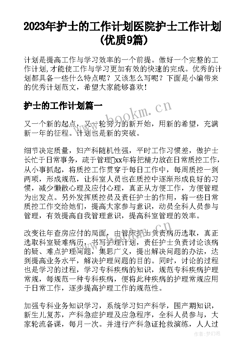 2023年护士的工作计划 医院护士工作计划(优质9篇)