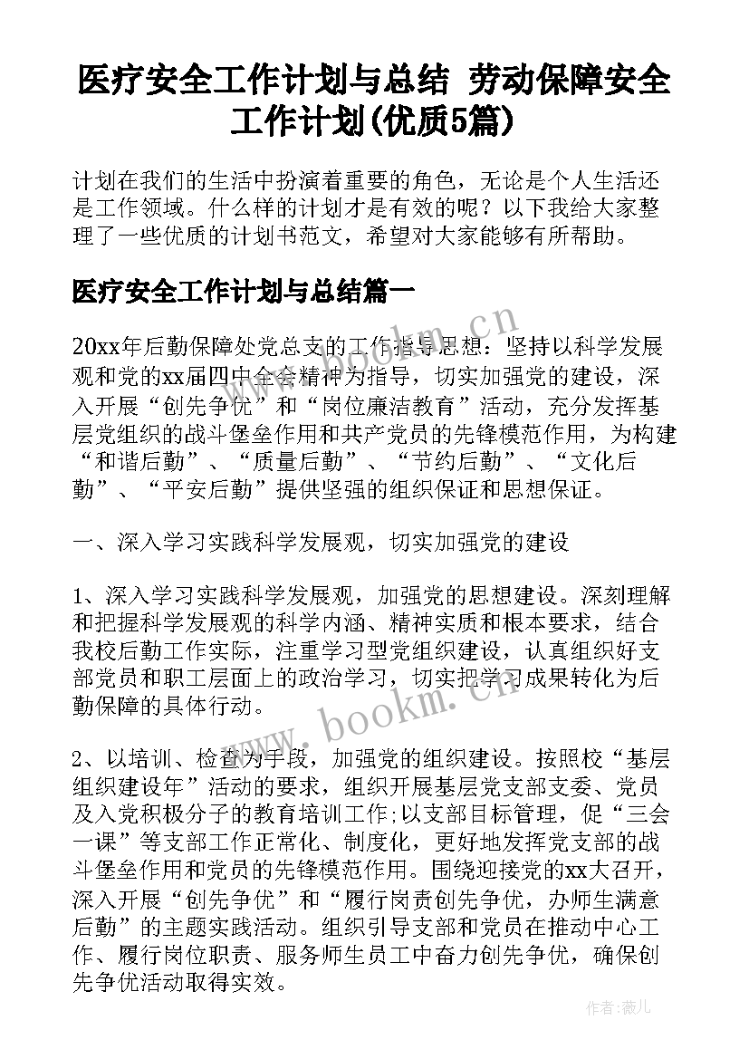 医疗安全工作计划与总结 劳动保障安全工作计划(优质5篇)