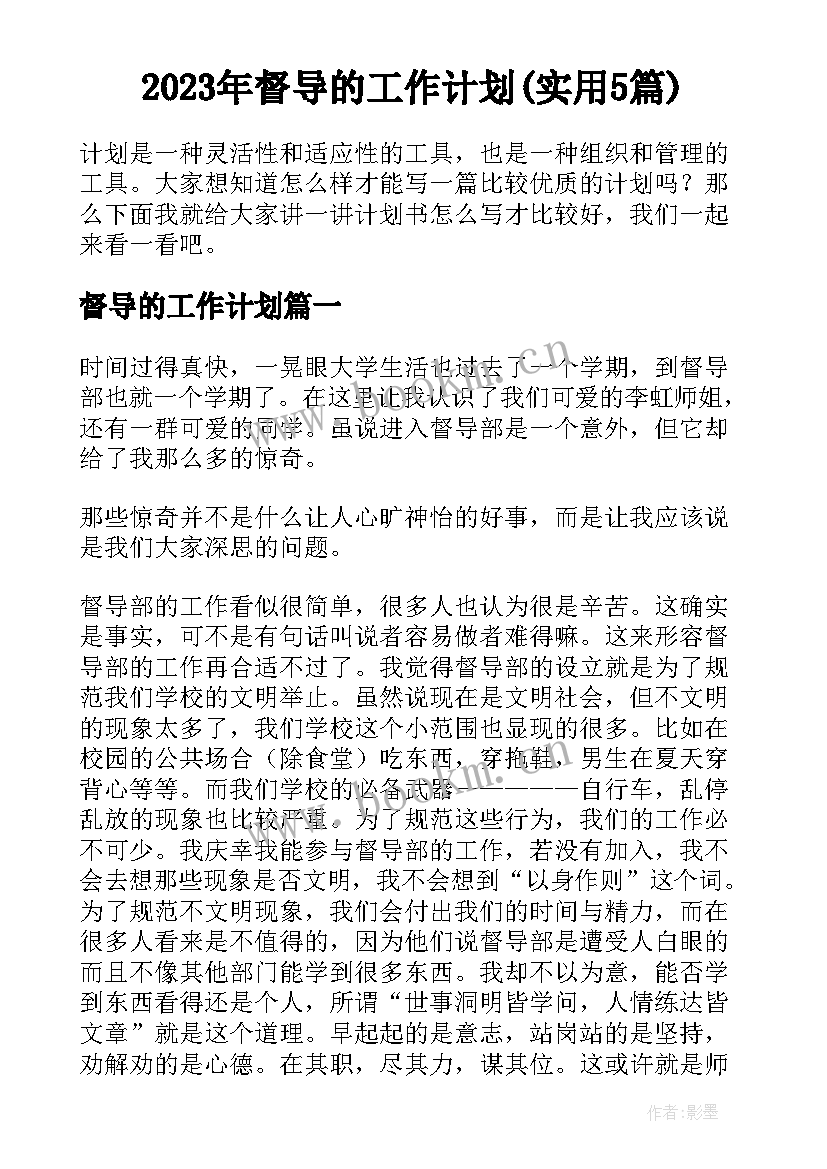 2023年督导的工作计划(实用5篇)