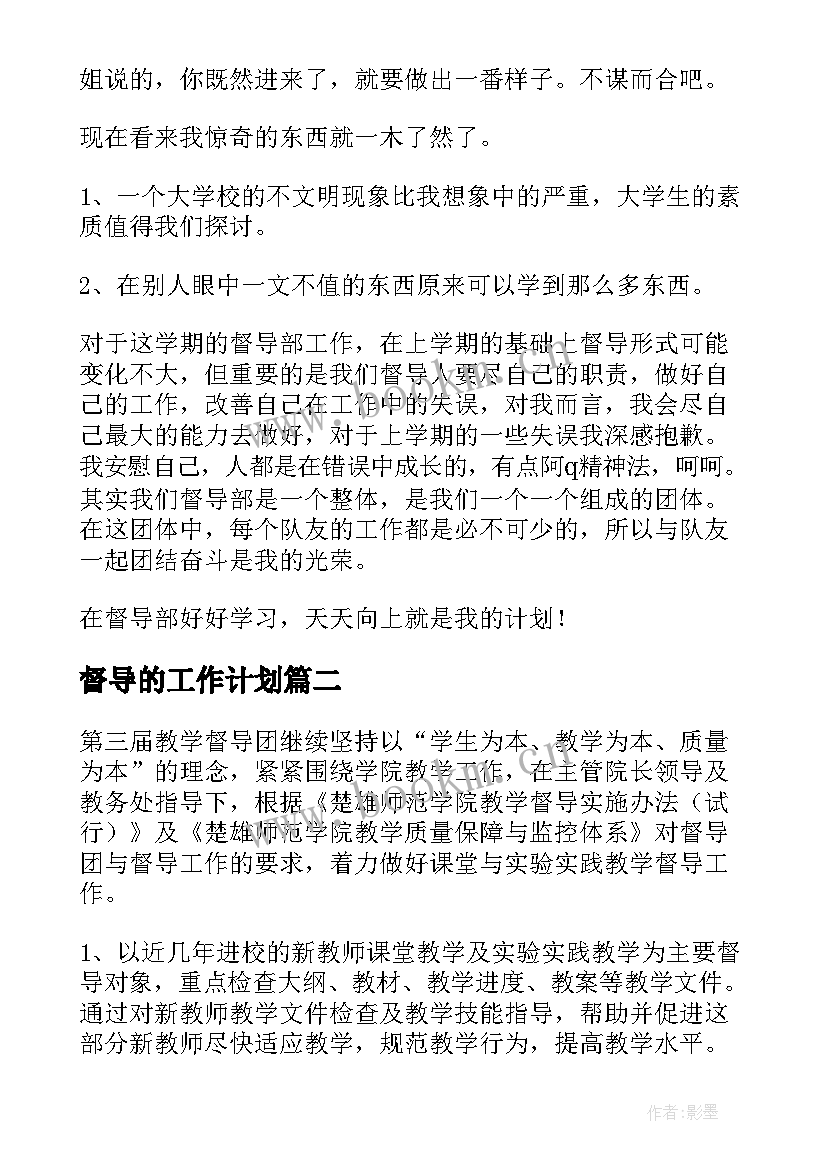 2023年督导的工作计划(实用5篇)