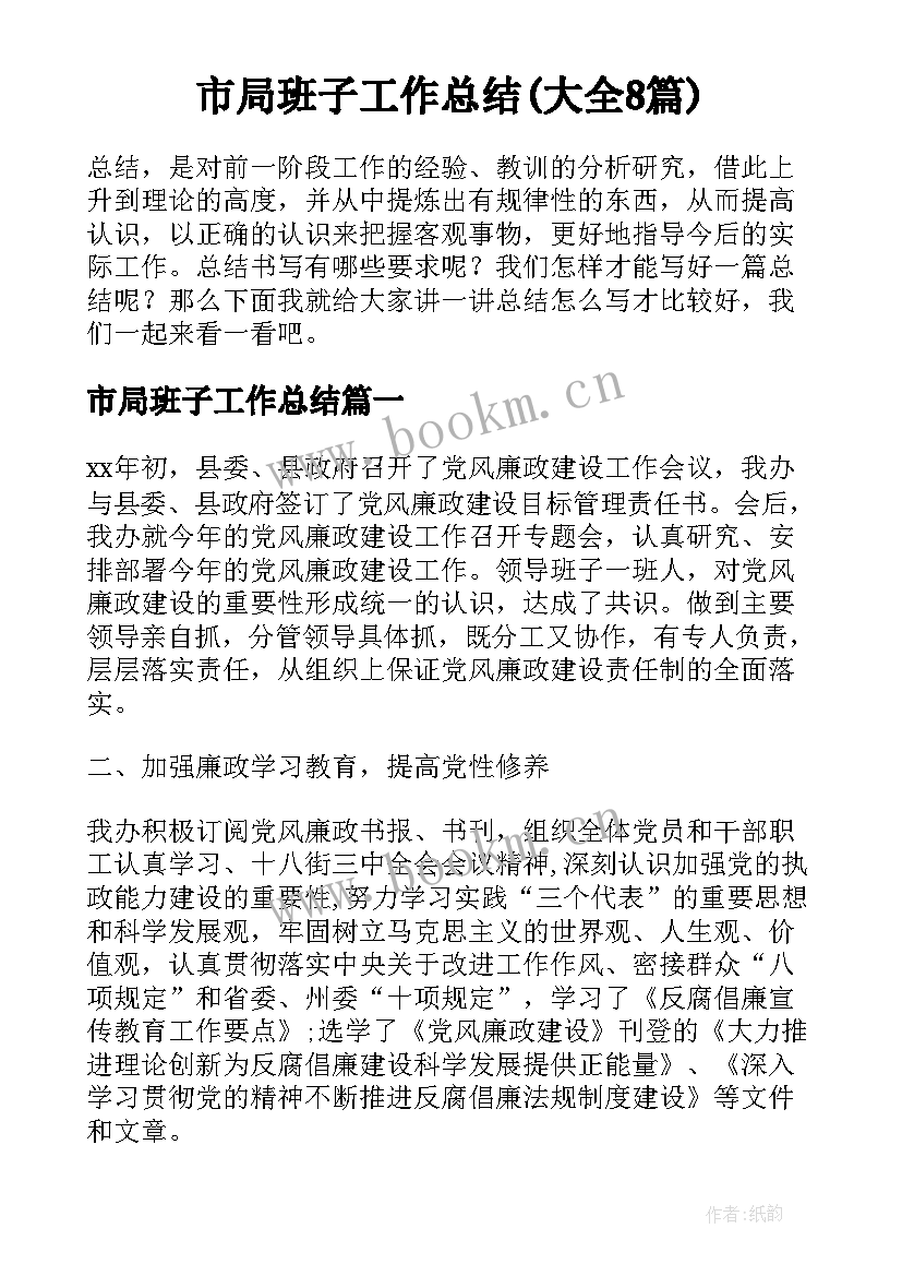 市局班子工作总结(大全8篇)