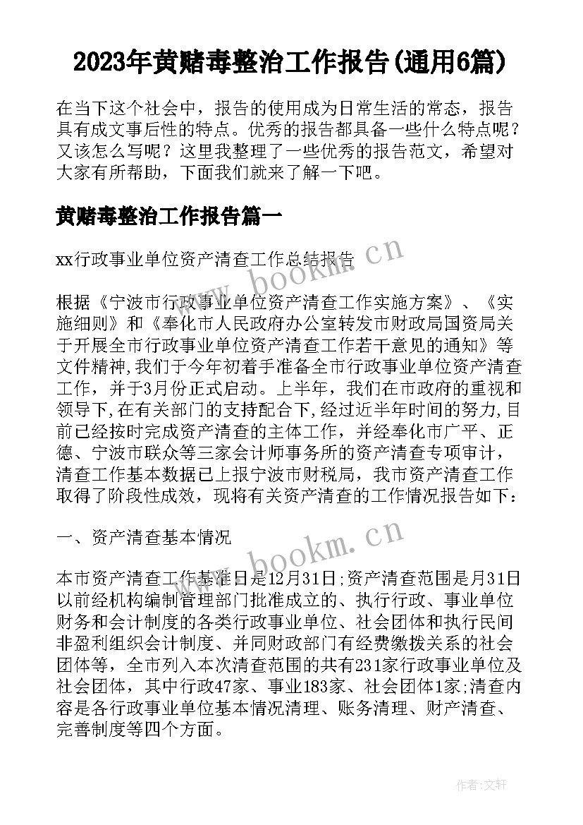 2023年黄赌毒整治工作报告(通用6篇)