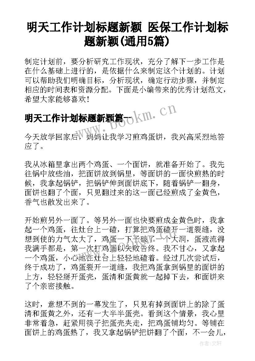 明天工作计划标题新颖 医保工作计划标题新颖(通用5篇)