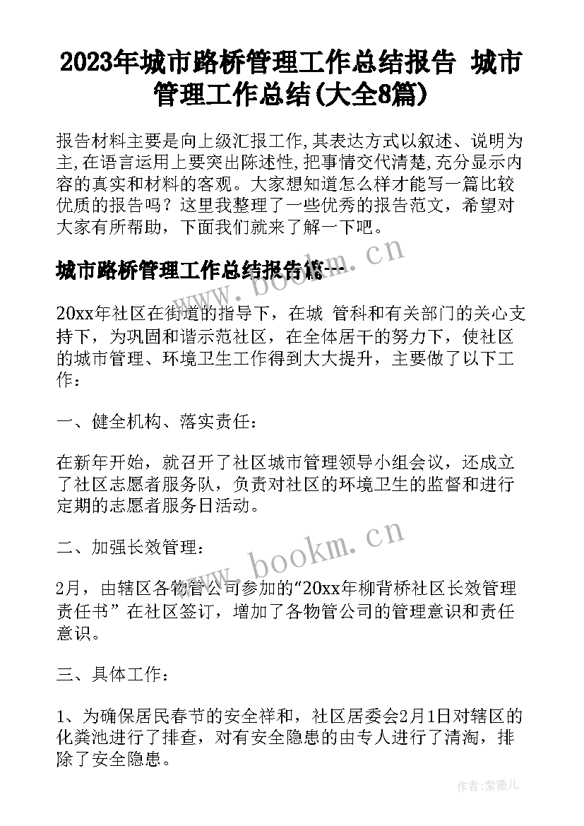 2023年城市路桥管理工作总结报告 城市管理工作总结(大全8篇)