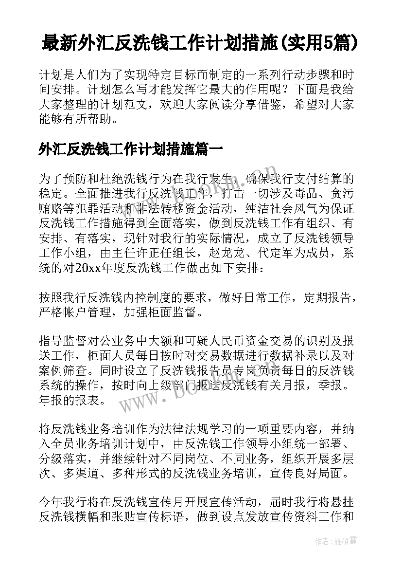 最新外汇反洗钱工作计划措施(实用5篇)