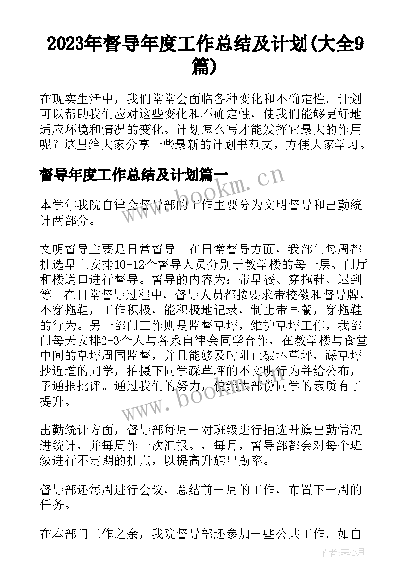 2023年督导年度工作总结及计划(大全9篇)