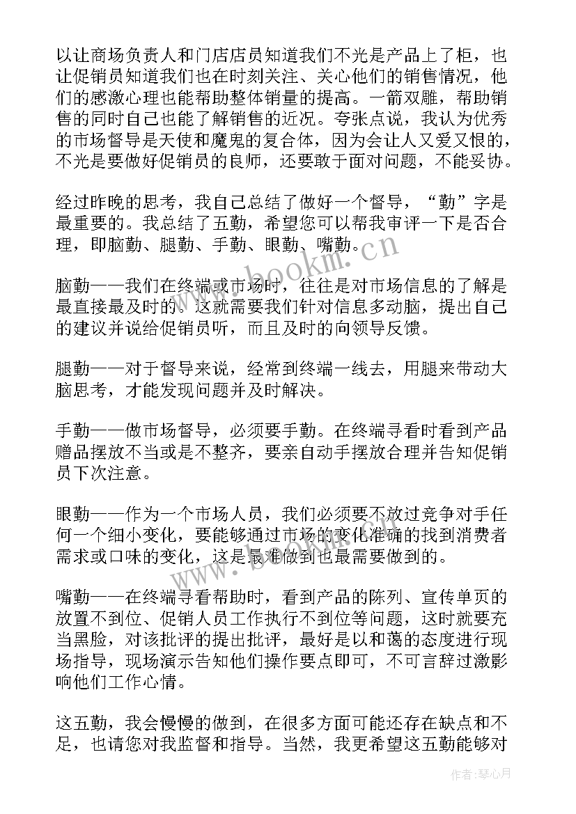 2023年督导年度工作总结及计划(大全9篇)