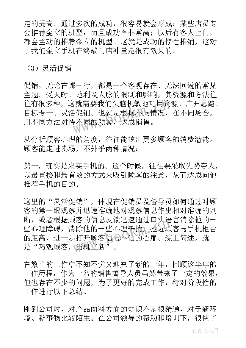 2023年督导年度工作总结及计划(大全9篇)