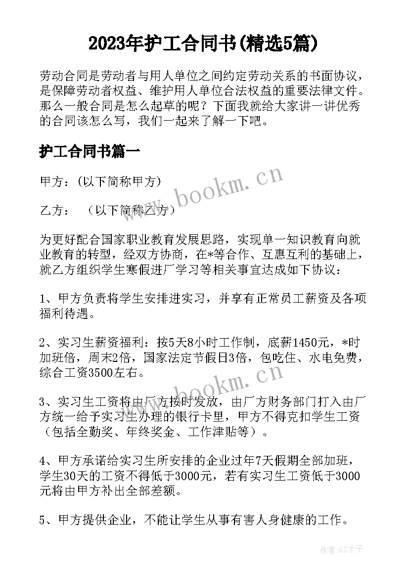 2023年护工合同书(精选5篇)