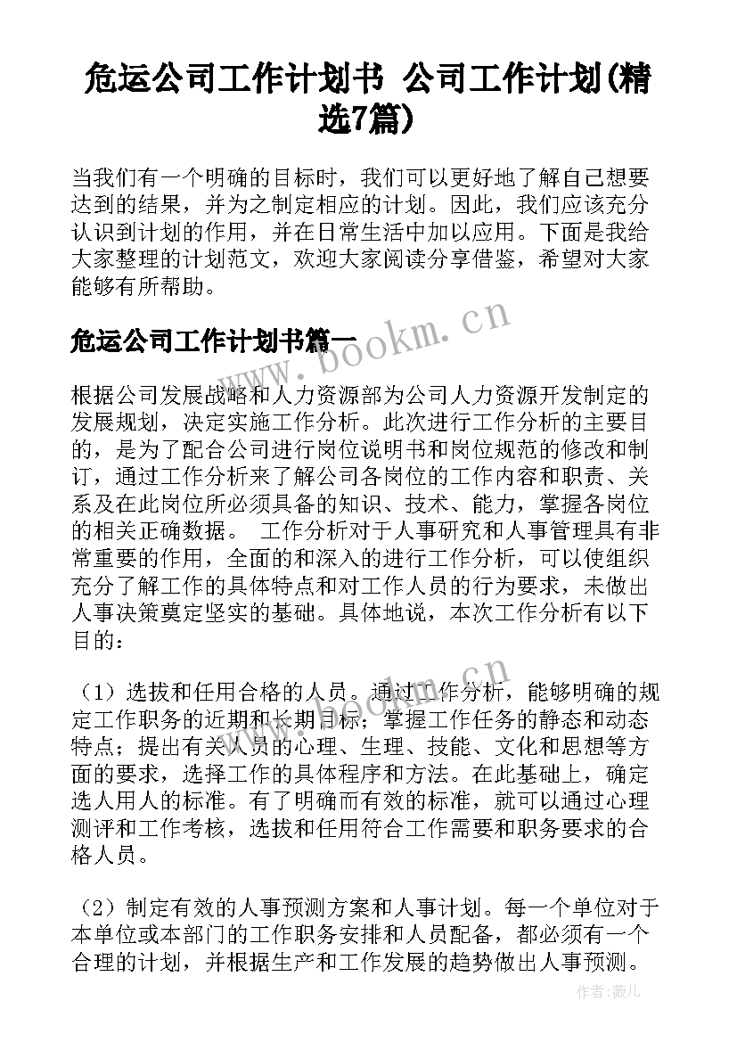 危运公司工作计划书 公司工作计划(精选7篇)