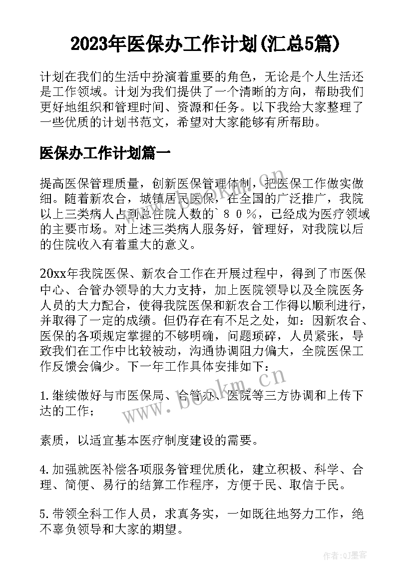 2023年医保办工作计划(汇总5篇)